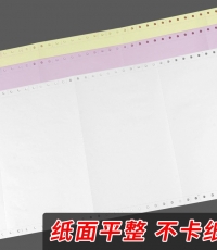 汇东电脑打印纸241-5-2/1彩色撕边