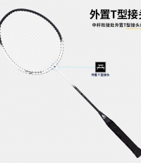 安格耐特F2100羽毛球拍(绿色)(2个/副)