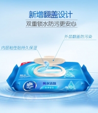 维达VW1027纯水湿巾80抽/包*12