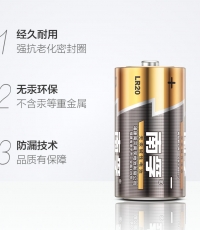 南孚1号（大号）LR20电池1板两只