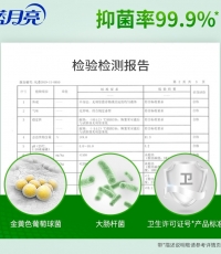 蓝月亮芦荟抑菌洗手液500g（袋）