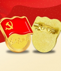 别针款党徽