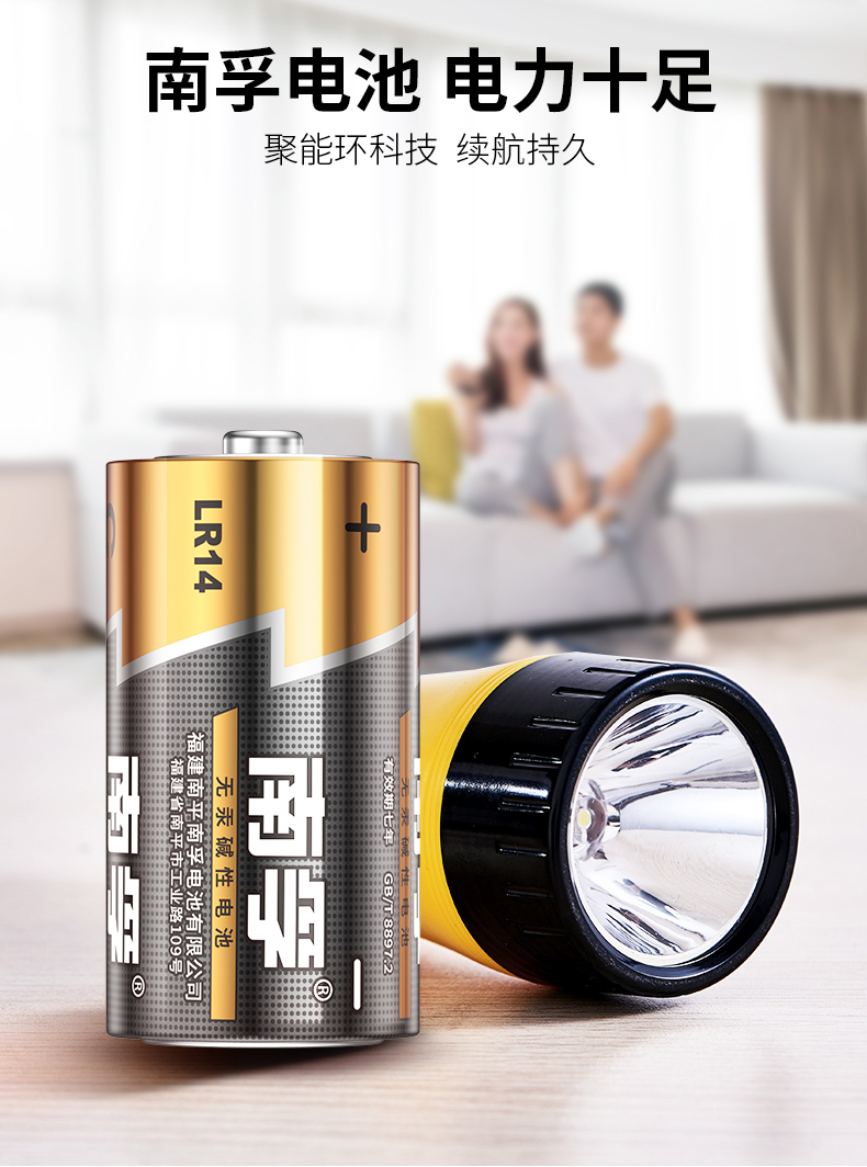 南孚LR14-2B 2号电池2pcs *12