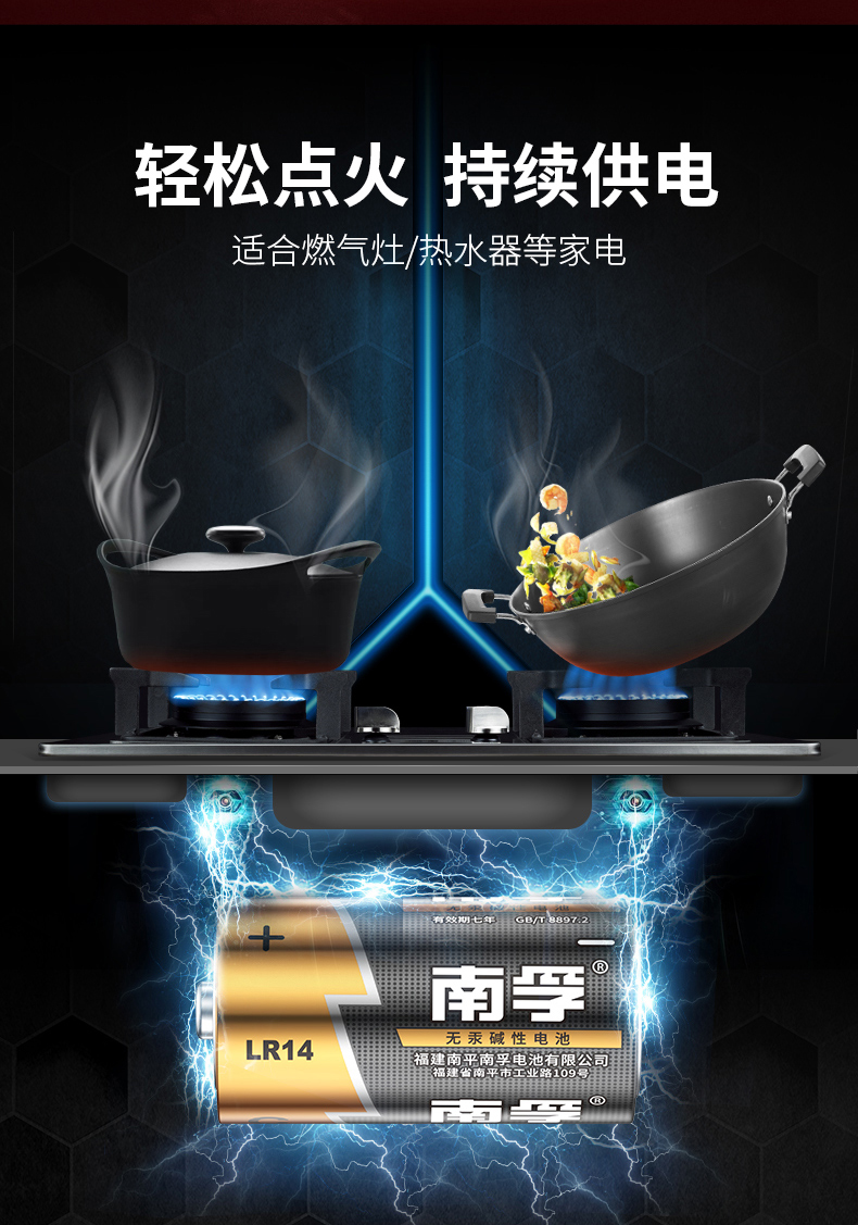 南孚LR14-2B 2号电池2pcs *12
